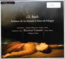 CD41 cover